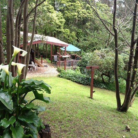 Stone'S Throw Cottage Bed And Breakfast 벨그레이브 외부 사진